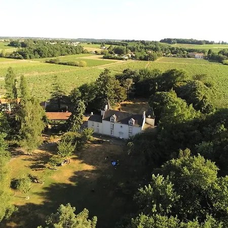 Du Vignoble A L'atlantique - Chateau Cassemichere Vendégház